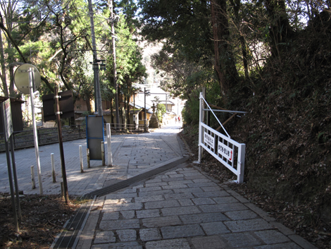 20160226hike (195)